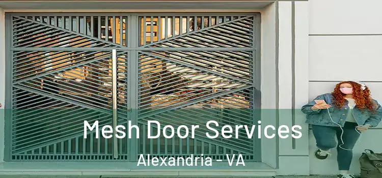 Mesh Door Services Alexandria - VA