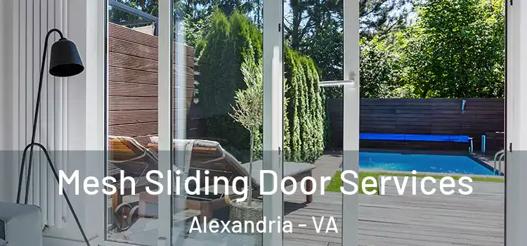 Mesh Sliding Door Services Alexandria - VA